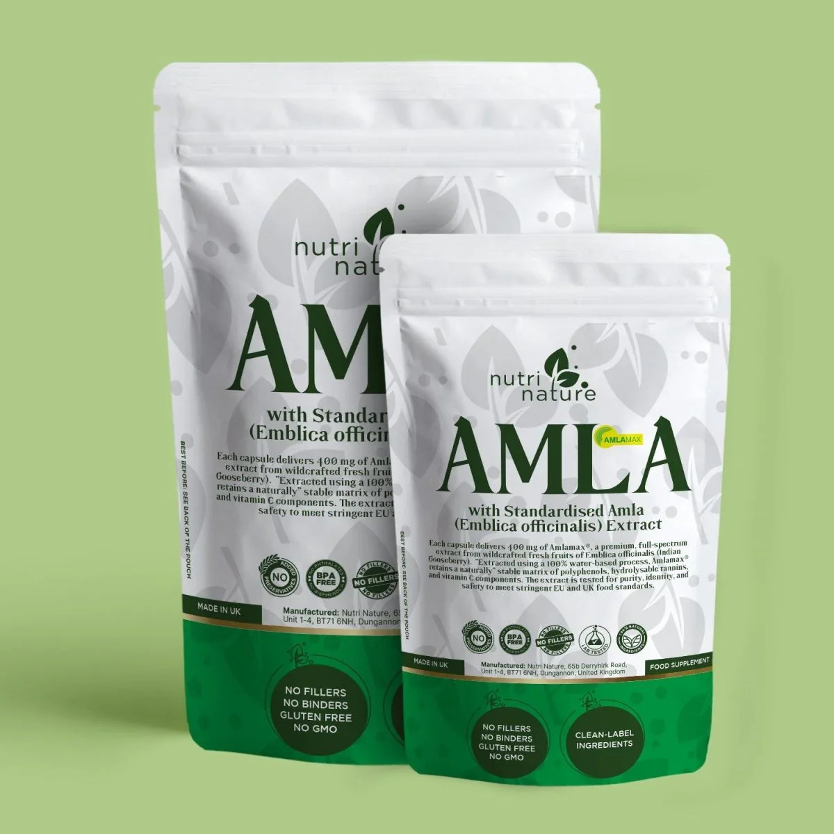 Amla Amlamax® – 400 mg - nutrinature
