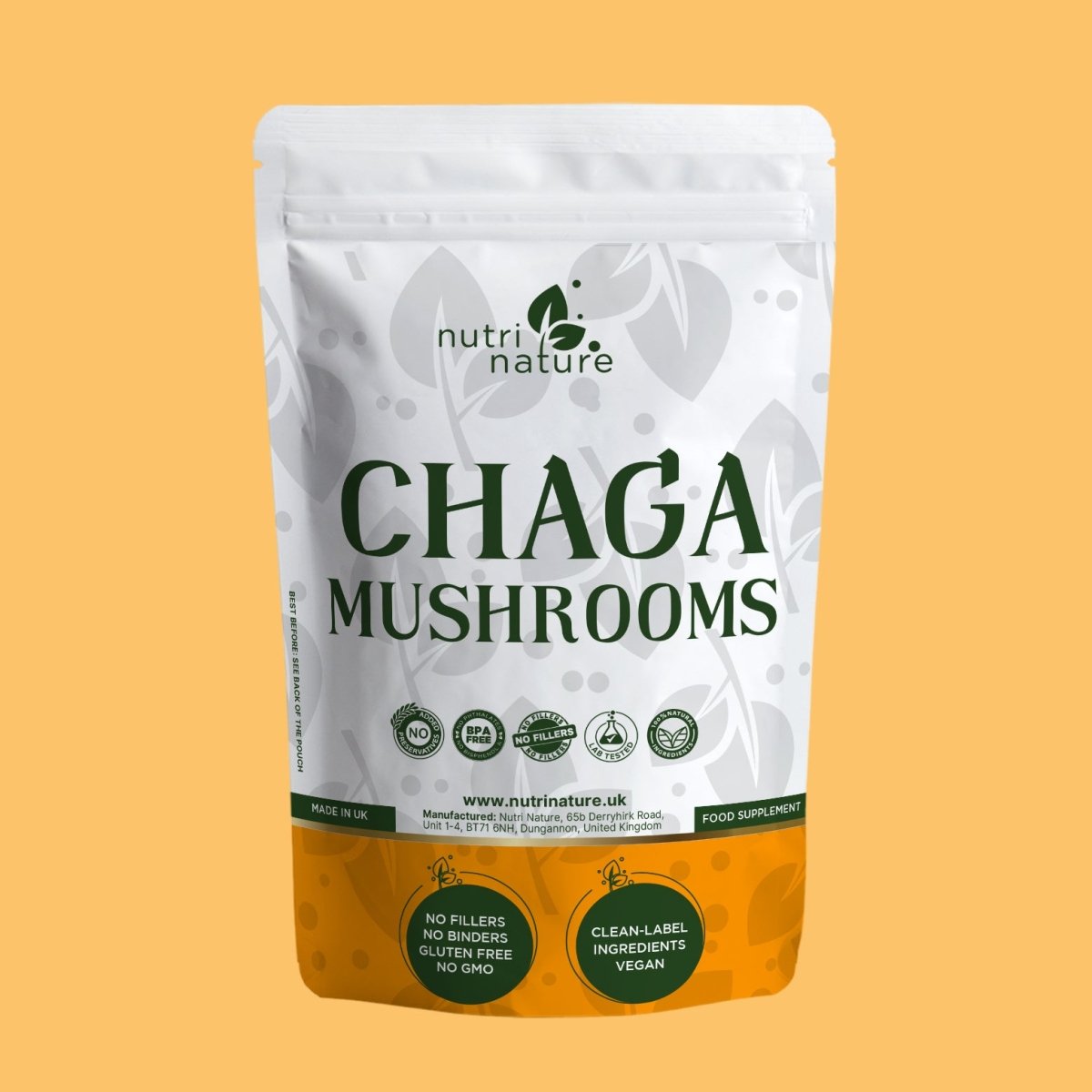 Chaga Mushroom 600mg - nutrinature